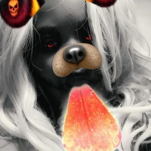 Meet your Posher, Bryanna